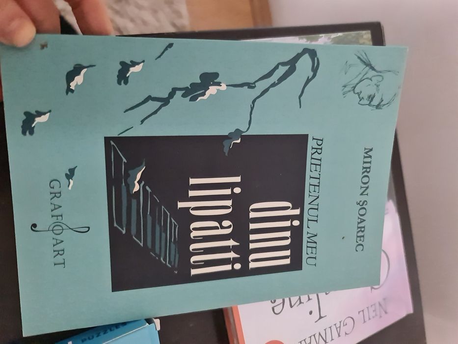 Carte Prietenul meu Dinu Lipatti