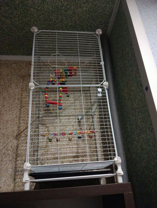 Клетка для попугаев