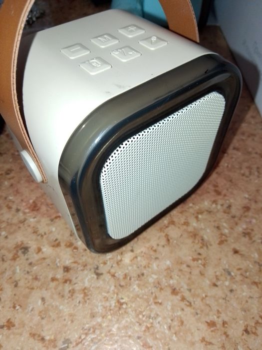 Колонка с микрофоном, рабочая