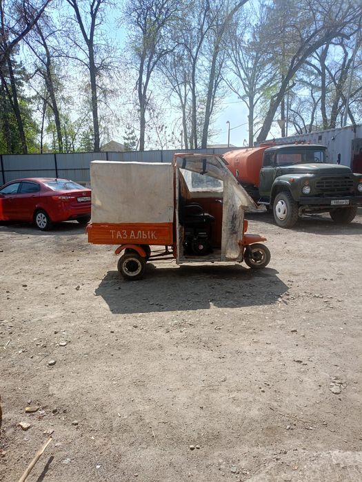 Муравей  в хорошем состоянии