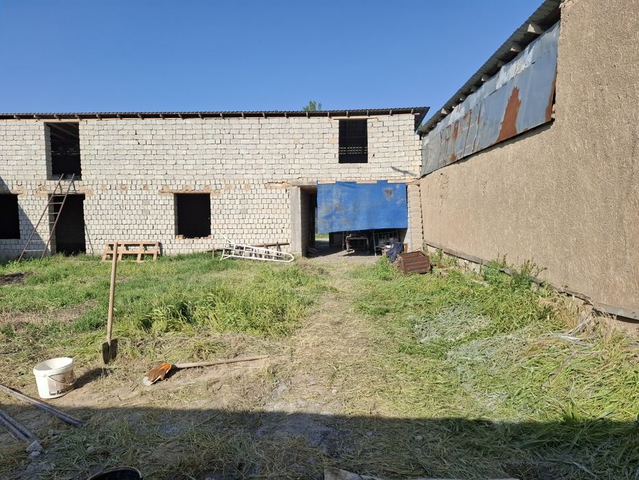 Буз сувда ховли ферма коробка