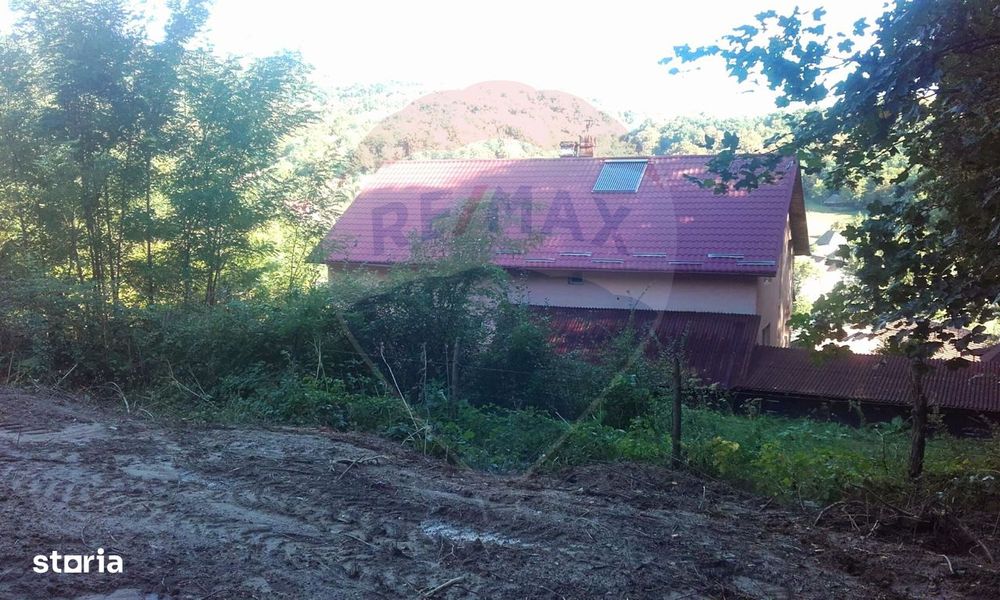 Teren 962.79mp Bujoreni / Strada Stejarului