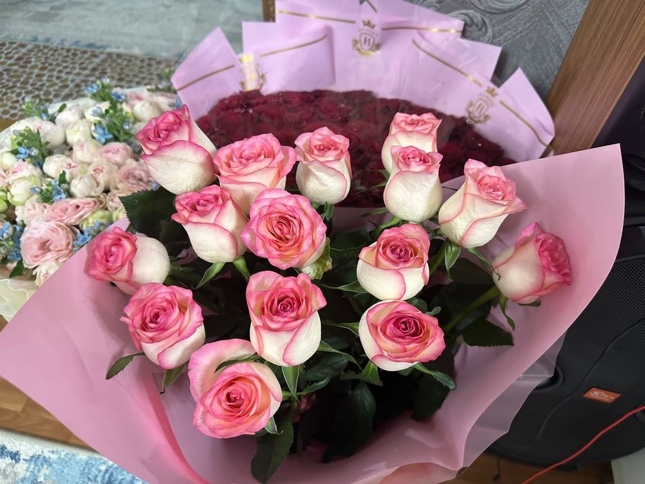 гулдер бар адеми арзан