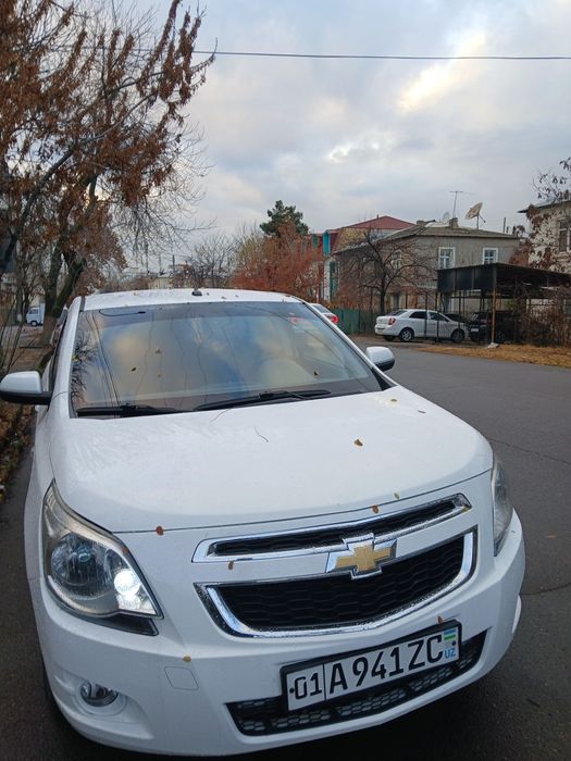 Cobalt Style Plus 2022