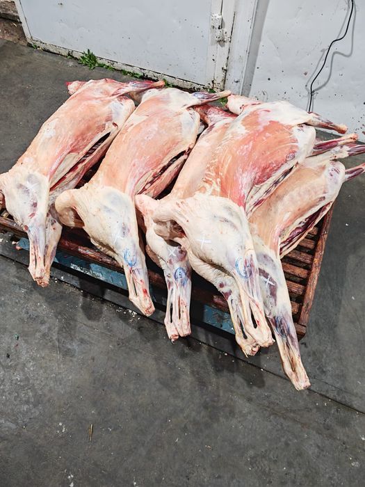 Мясо баранина оптом