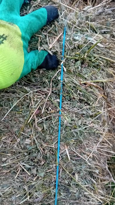 Baloți  de lucernă