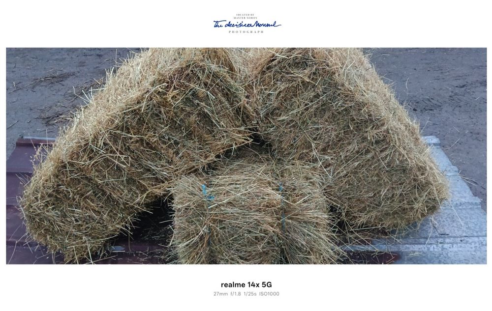 Vând baloți de fan