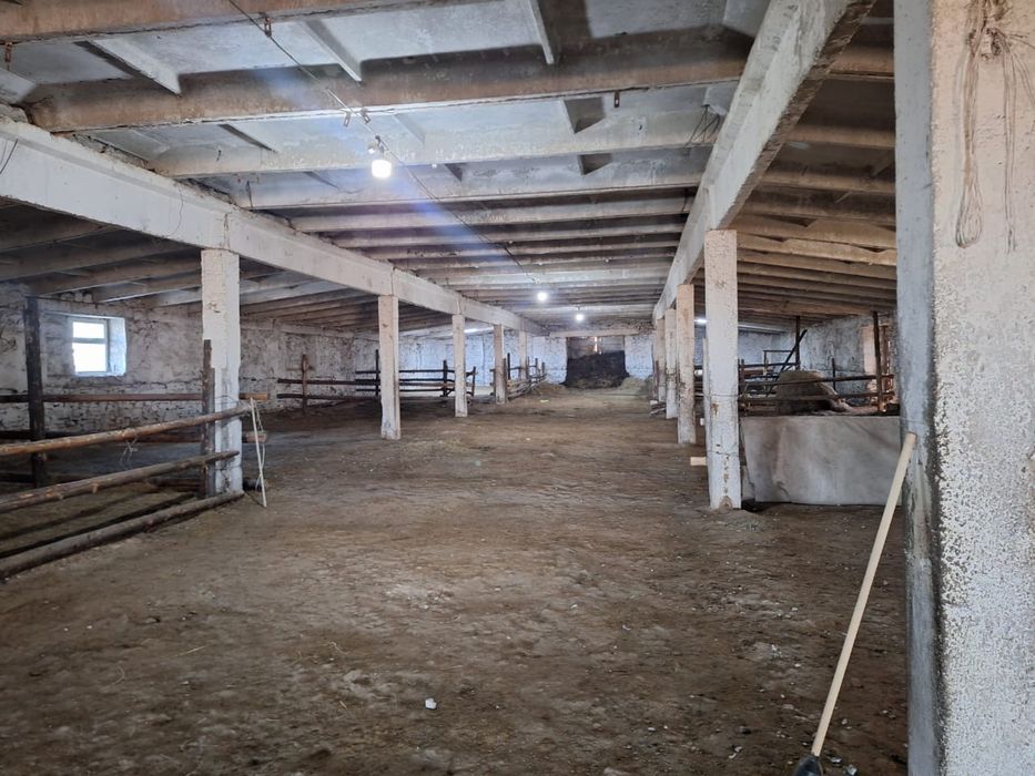 Фермерское хозяйство