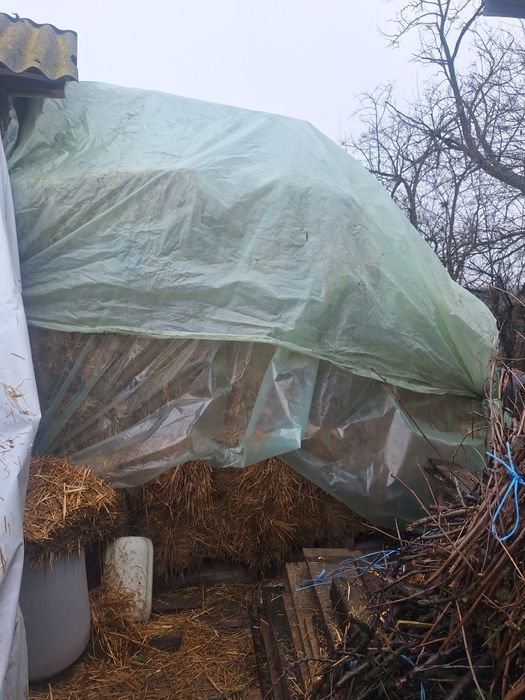 Baloti de ovaz de vanzare