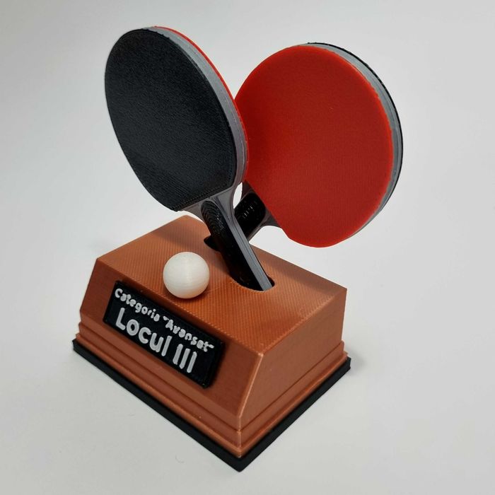 Trofee personalizate pentru orice competiție - printare 3D #up3D