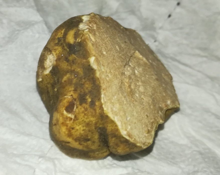 Trufe , kit bile din lemn + 50ml ulei pentru dresaj .