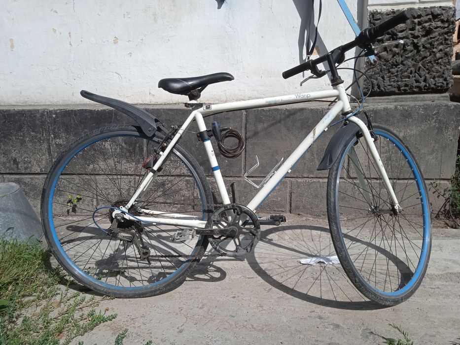 Спортивный Шоссейник