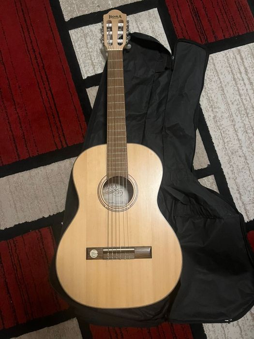 Chitară hora întreținută