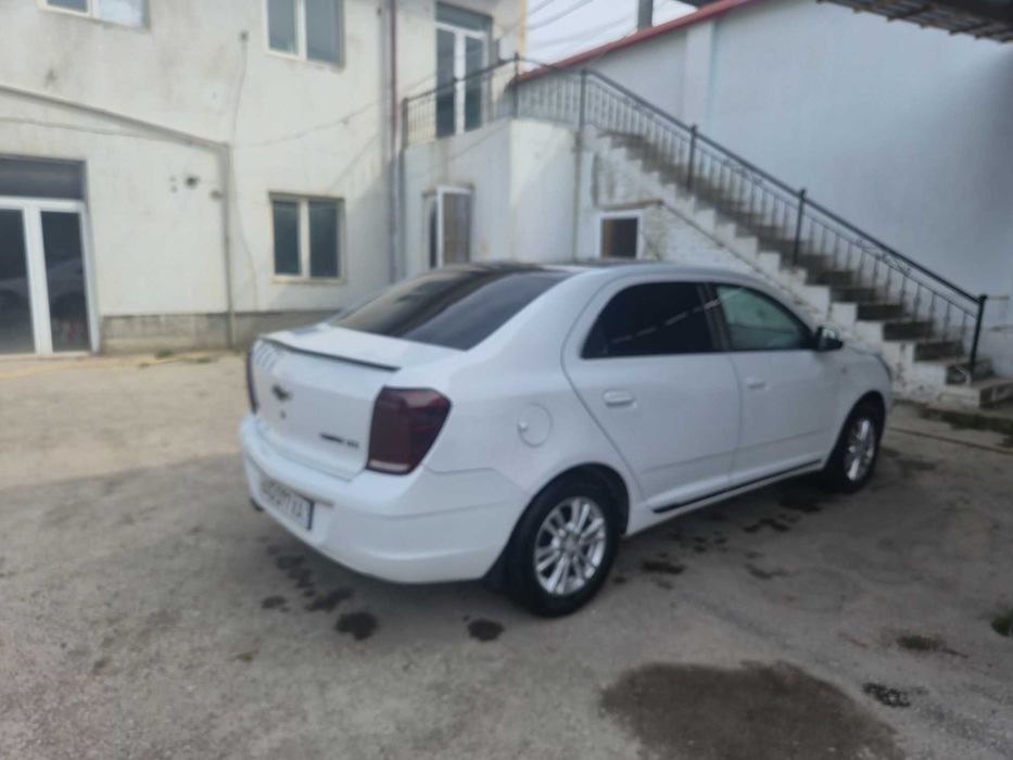 cobalt 2024 кобалт