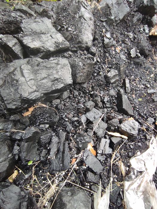 Продам дрова, уголь, песок в мешках