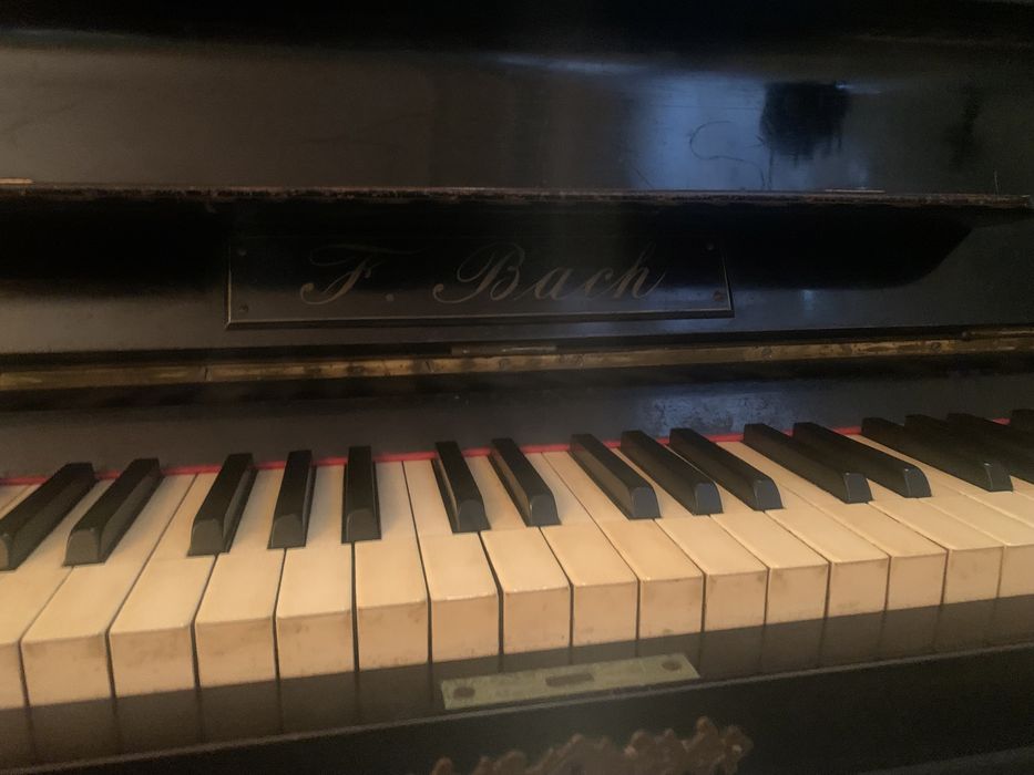 Vand pianina F. Bach