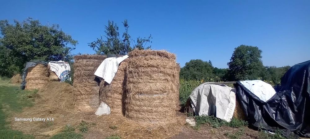 Baloți rotunzi 150
