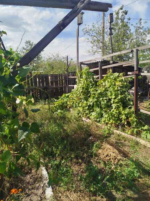 Продам дачу садоводство яблонька