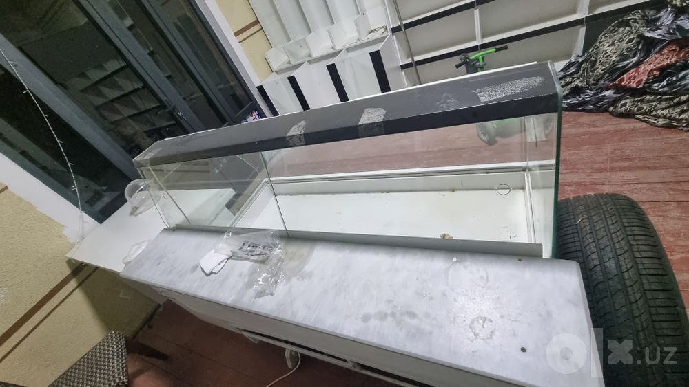 Vitrina xolodilnik