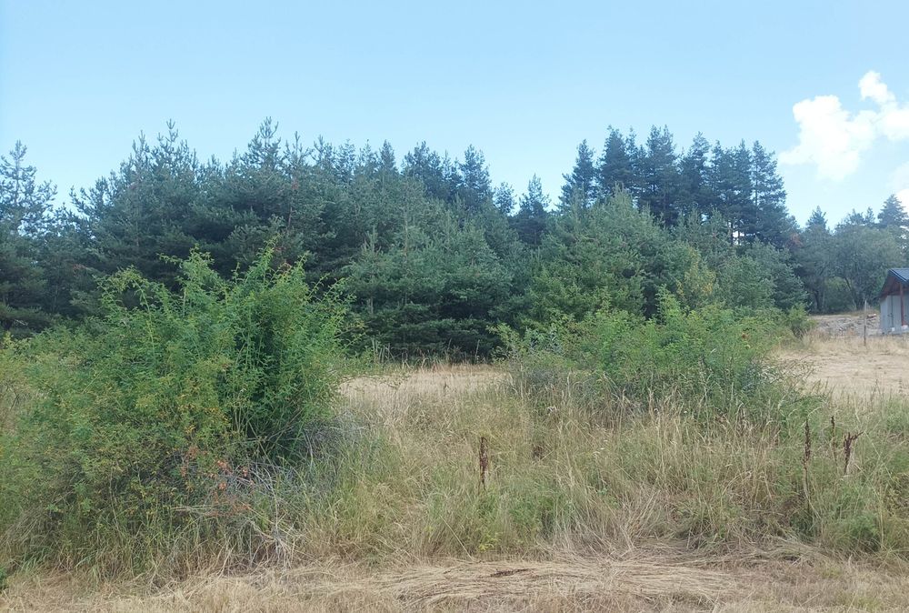 Продава се Парцел в Батак - 1993 кв.м за 21 €/кв.м - Снимка #3