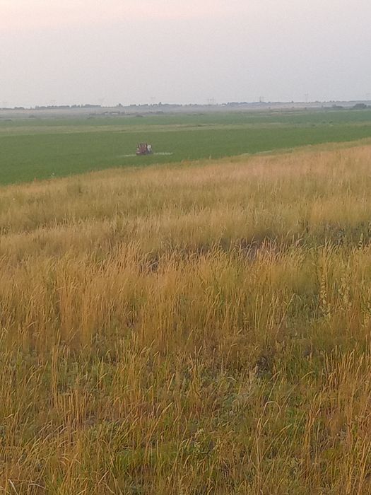 Продам крестьянское хозяйство