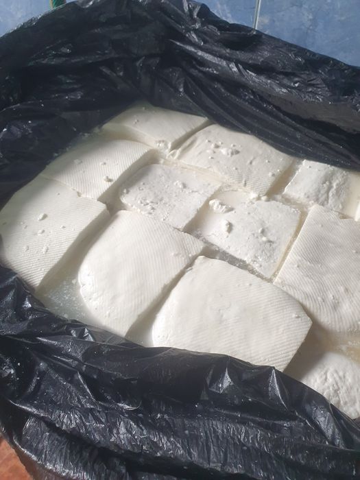 Branza de capra de vanzare