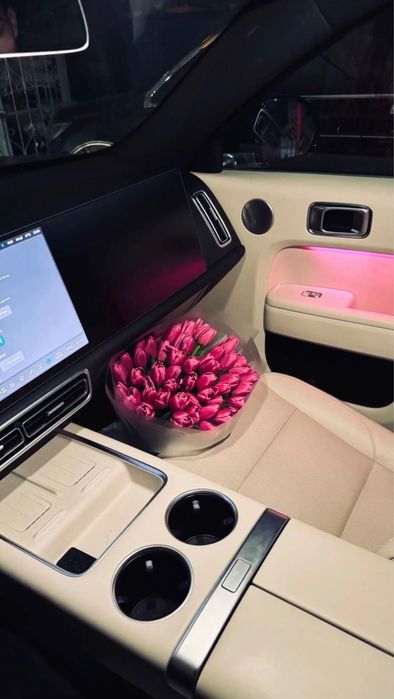 Тюльпаны предзаказ, розница