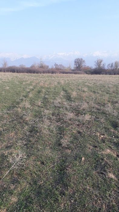 Продам участок кх в талгарском районе