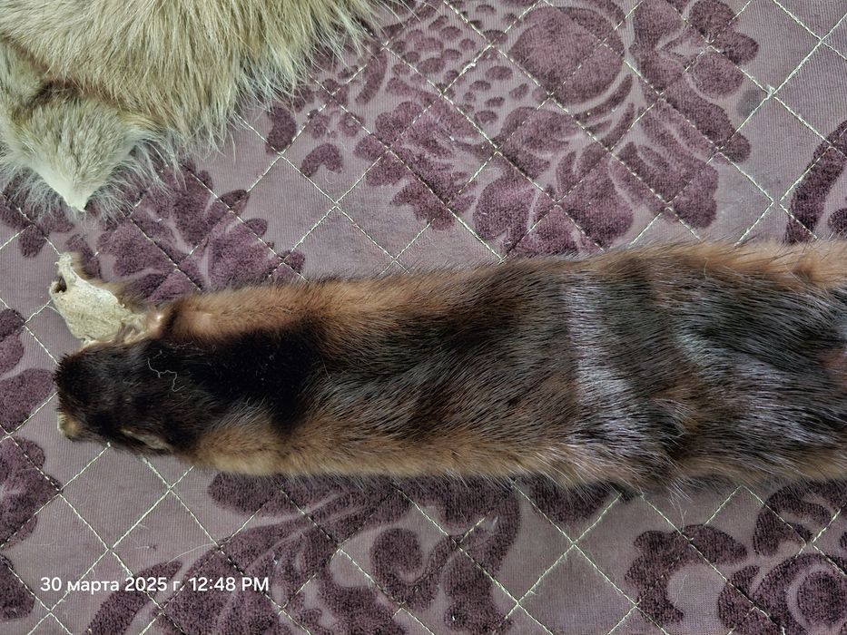 Продам меха СССР 50 размер