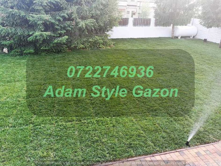 Gazon Verde Natural pentru Orice Proprietate
