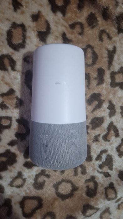 Vand Alexa utilizata