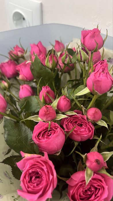 Продам цветы букет