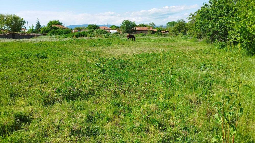 Продава се Парцел в Брезово - 2000 кв.м за 4 €/кв.м - Снимка #1