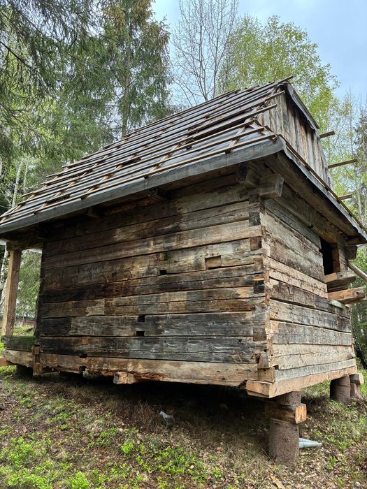 Casuță, cabana din barne lemn 500 cm x 370 cm