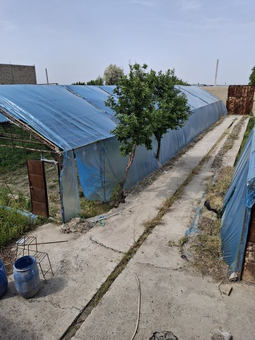 Samarqand chortut mahallasida uchastka sotiladi