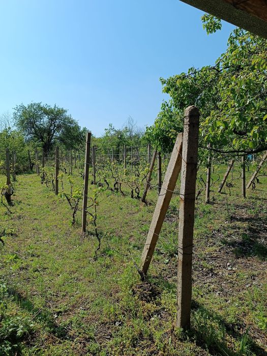 Продава се Къща в Русе, Долапите - 1100 кв.м за 26 €/кв.м - Снимка #18