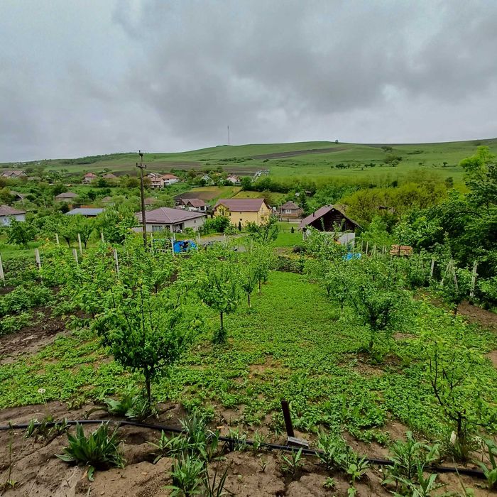 Vand teren intravilan + casa la 14.5km de Aeroport Cluj