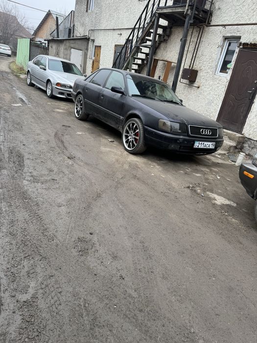 Диск с ризиной