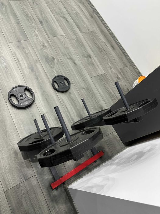 Greutati discuri si suport Insportline