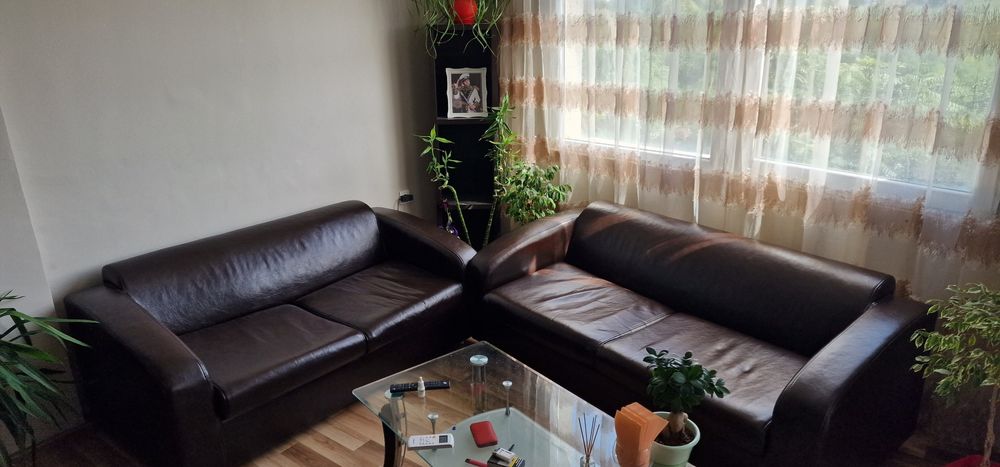 2бр.диван,кожа цвят кафяво