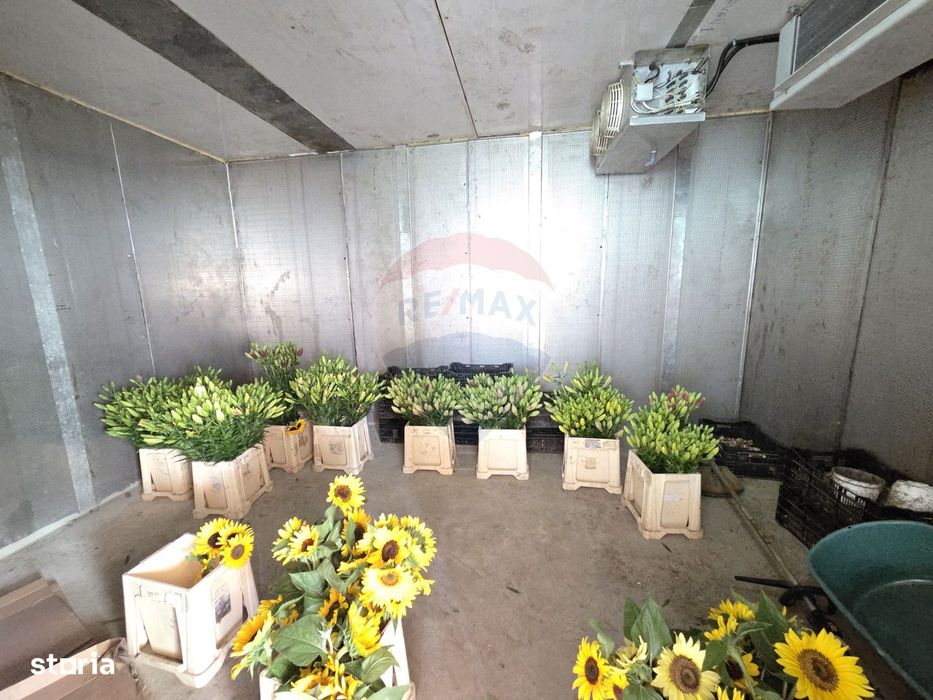 Proprietate 2.229 mp cu Dotări pentru Afacere Florală