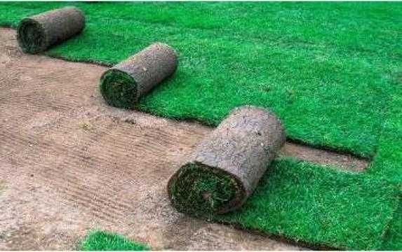 Amenajări Grădini și Spații Verzi | Gazon, Irigații, Toaletări, Plante