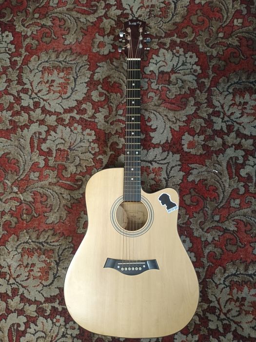 Акустическая гитара (41; Для начинающих)