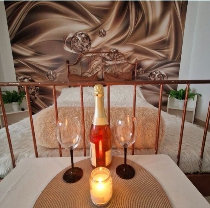 GARSONIERA FITZA  în Regim hotelier Craiova/Cazare Craiova