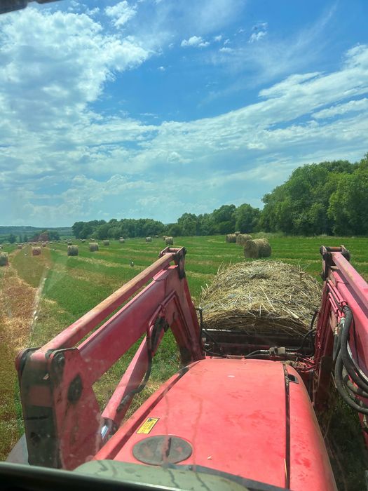 Бали сено от Лючерна