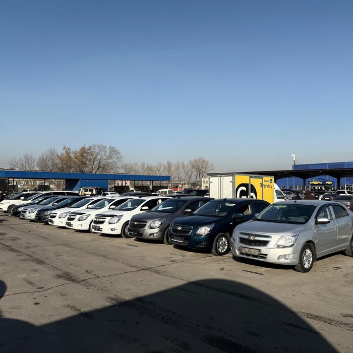 KOBALT без пв взнос