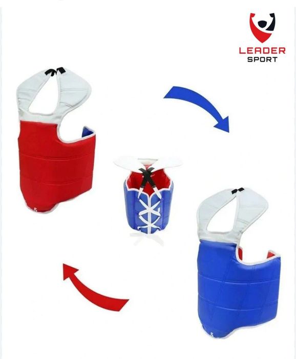 Taekwondo Protector