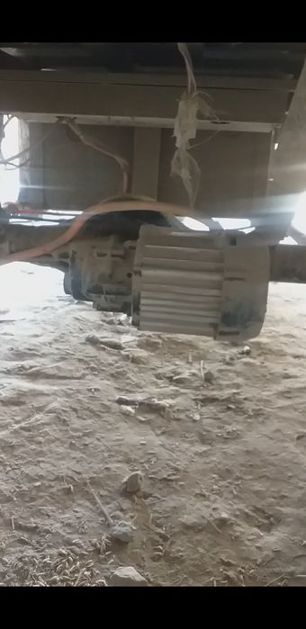 Elektr muravey soz holatda yurib turibdi soz
