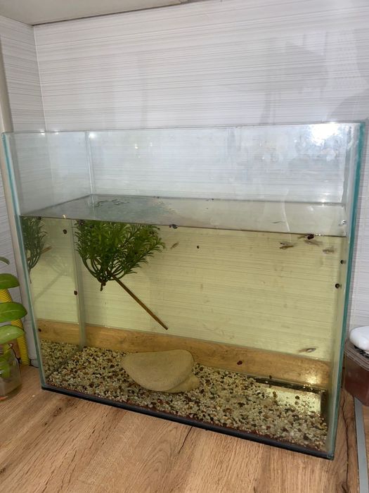 Аквариум сатылады