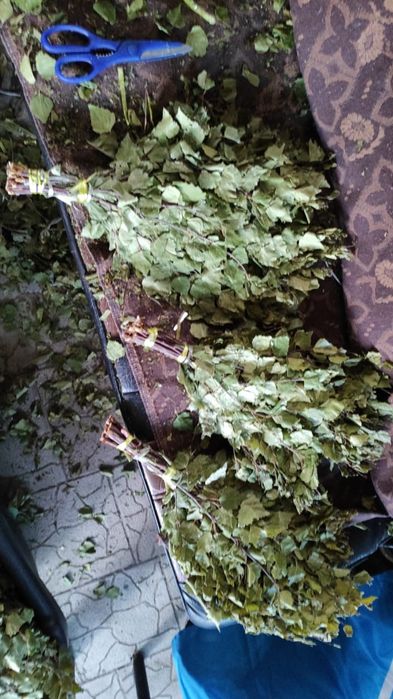 Продам не дорого веники